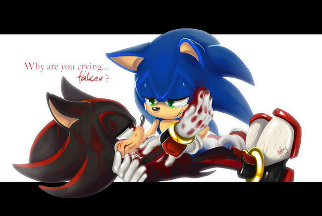 Obsession #1 Shadow x Sonic The Hedgehog // Sonadow/Shadonic