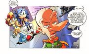 Snively declares Sonic the victor.