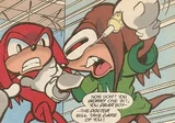 Moritori attacks Knuckles.