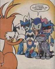 Sonic Robian family