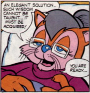 Julayla's cat look from her first appearance in StH #18