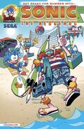 Sonic the Hedgehog #261: Endless Summer Variant