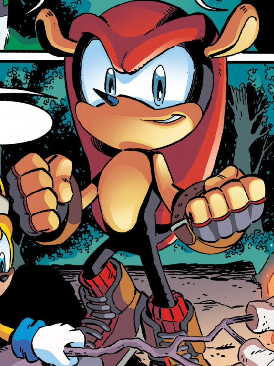 If Mighty the Armadillo was added in the Knuckles TV series, who do you  think should be his voice actor? : r/SonicTheHedgehog