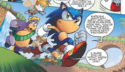 The Freedom Fighters in Emerald Hill Zone.