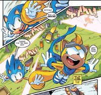 Ray saves Sonic