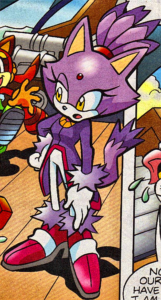 blaze the cat and silver the hedgehog comic