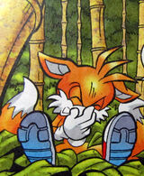 38262 - safe, artist:fredvegerano, miles tails prower (sonic), rosemary  prower (sonic), canine, fox, mammal, red fox, anthro, archie sonic the  hedgehog, sega, sonic the hedgehog (series), 2020, baby, blue eyes,  dipstick tail