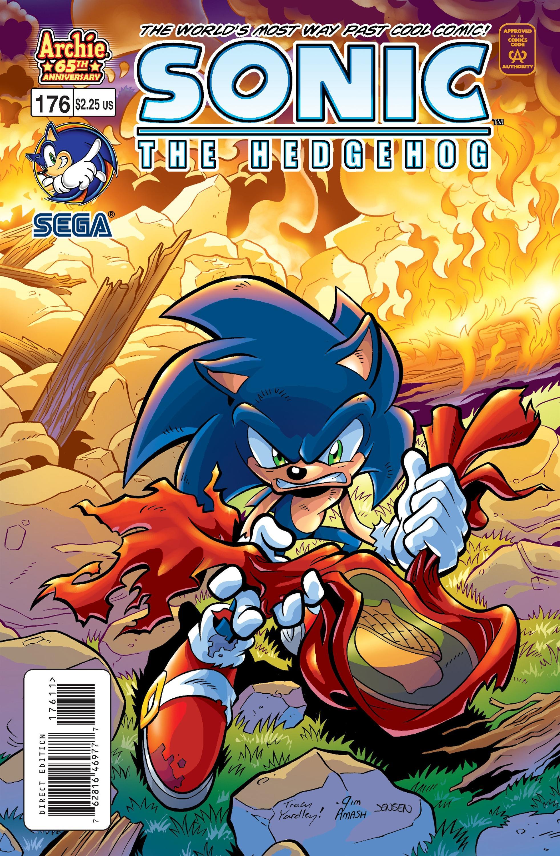 Archie Sonic the Hedgehog Issue 176 Mobius Encyclopaedia Fandom