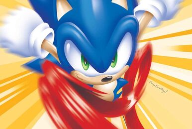 Sonic The Hedgehog Archives 14: Sonic Scribes: 9781879794597: :  Books