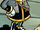Warden Zobotnik