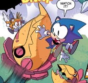 Flower Park Zone plant