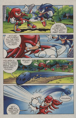 Sonicvknuckles.jpg