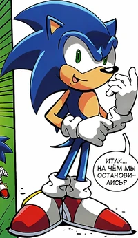 The Sonic X Zone's version of Sonic.