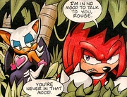 Rouge tricking Knuckles to meet her ends.