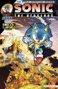 Sonic the Hedgehog #56: End of the World Variant