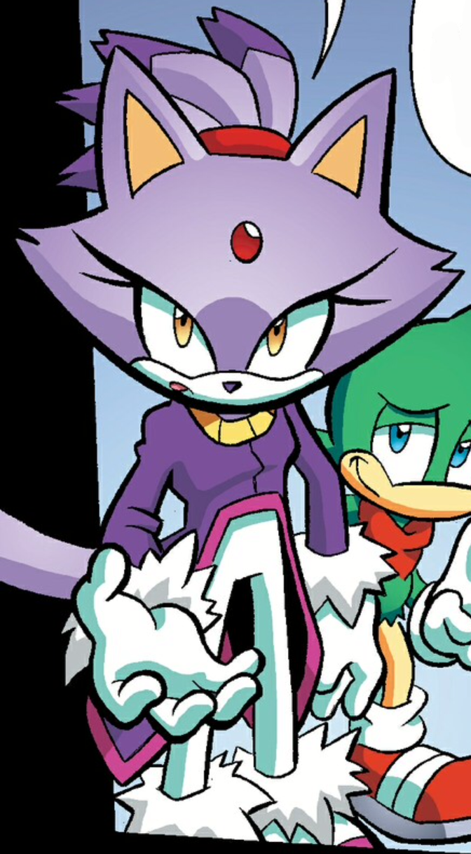 blaze the cat and silver the hedgehog human