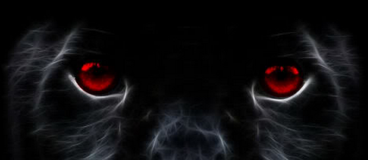red panther eyes