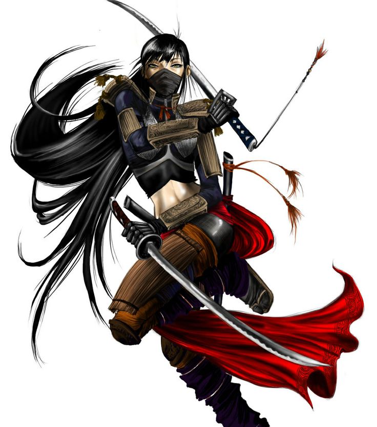  THE KUNOICHI: Woman Ninja Assassin at the Battle of