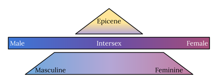Gender, Sex, and Orientation | Ardwind Wiki | Fandom