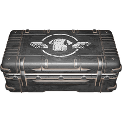Cases | Arena Breakout Infinite Wiki | Fandom