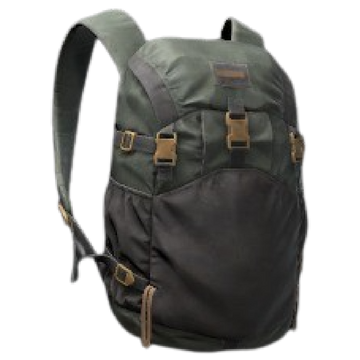 Burton x carhartt wip day hiker 31l backpack hotsell