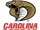 Carolina Cobras