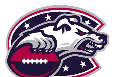Blackjacks' Revealed as Atlantic City Arena Football Team Name