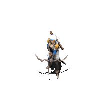 Rangergif.gif