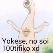 100tifiko 1