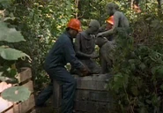 Separating her from her mate!