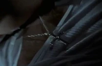 Suddenly it notices Carl wear the holy symbol of the cross