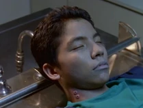 Instead they find Felix who appears to be dead!