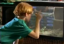 A mean red haired boy is tormenting some of the animals