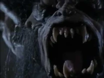 Here is the twin brother! run!!