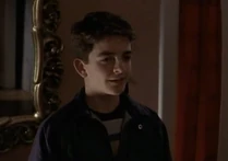 Adder is confused, asking if Dreyfus only rose the other night. Then who attacked Carl Mueller the week before?