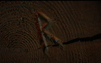 Now she carves her Initial into her very own seat