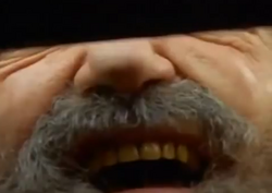 4dsoup.png