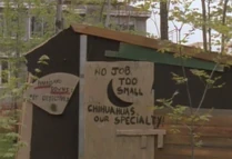 The boys run their own pet detective business