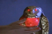 Oh no someone else puts another red jewel into the staff!