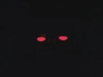 The red eyes of the monster