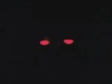 Cellar Demon