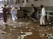 scrambled eggs! everywhere!