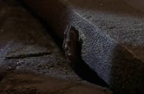 Just after they run after him, Dreyfus' coffin begins to open itself!