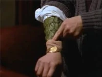 When they overhear the Taylors talking about the eggs, they find out they're reptile aliens!