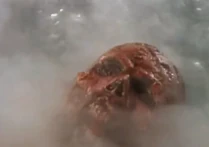 Clorice throws the powder at The Corpse and it smokes, bubbles and explodes