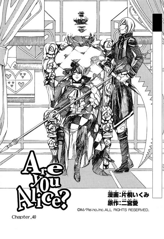 Playing Cards Are You Alice Wiki Fandom Playing Cards Are You Alice Wiki Fandom