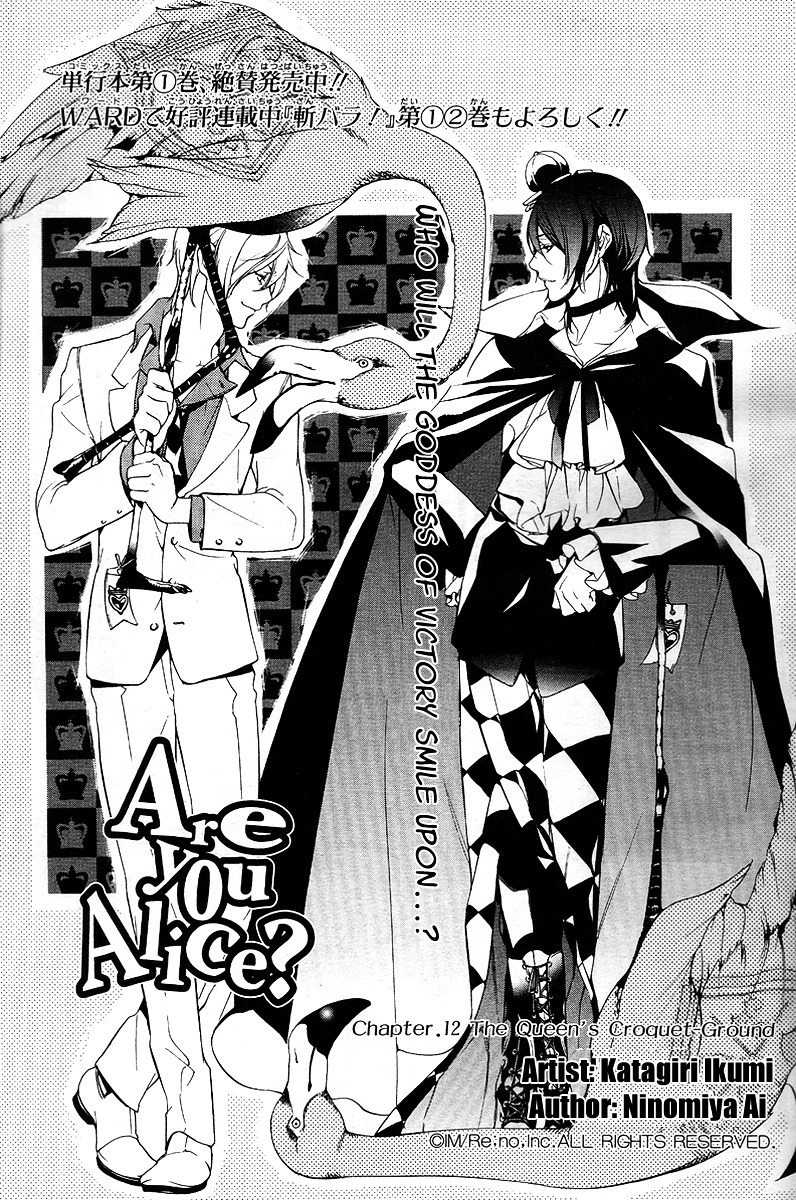 The Queen S Croquet Ground Are You Alice Wiki Fandom The Queen S Croquet Ground Are You Alice Wiki Fandom