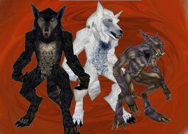 Werewolf.jpg