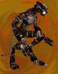 Werecat.jpg