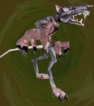 Wererat